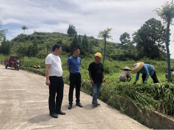 公司董事長成軍到松桃縣農(nóng)信社對接 生豬產(chǎn)業(yè)融資擔(dān)保工作